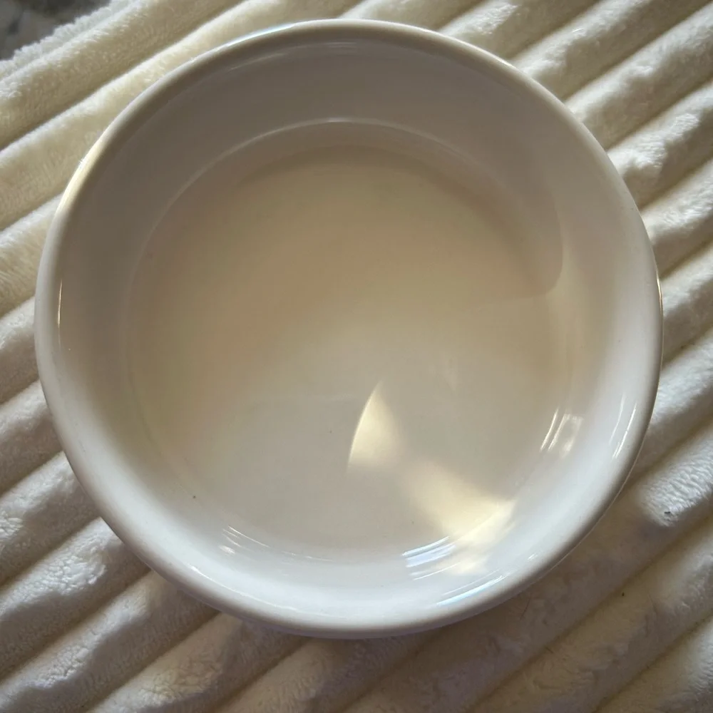 Rae Dunn White Ceramic Pet 'DINE' Bowl